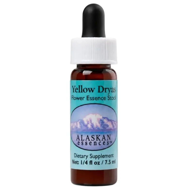 Yellow Dryas Essenza Alaskan Essences 7,4ml