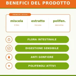 Zreen Fibra Pura Integratore per la Stitichezza e Salute Intestino 345g